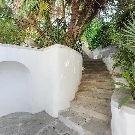 Azzurra, * Capri